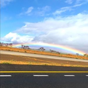 Rainbow in route, over a lemon field in rainbow country.